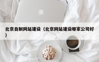 宁波北京自制网站建设（北京网站建设哪家公司好）