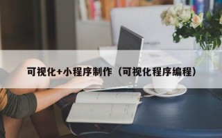宁波可视化+小程序制作（可视化程序编程）
